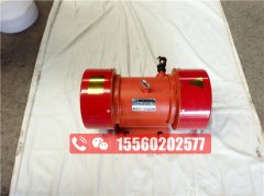振動篩上的動力源三相異步振動電機(jī)